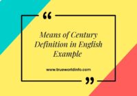 Means of Century Definition in English Example