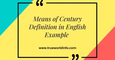 Means of Century Definition in English Example